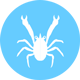 crustaceans