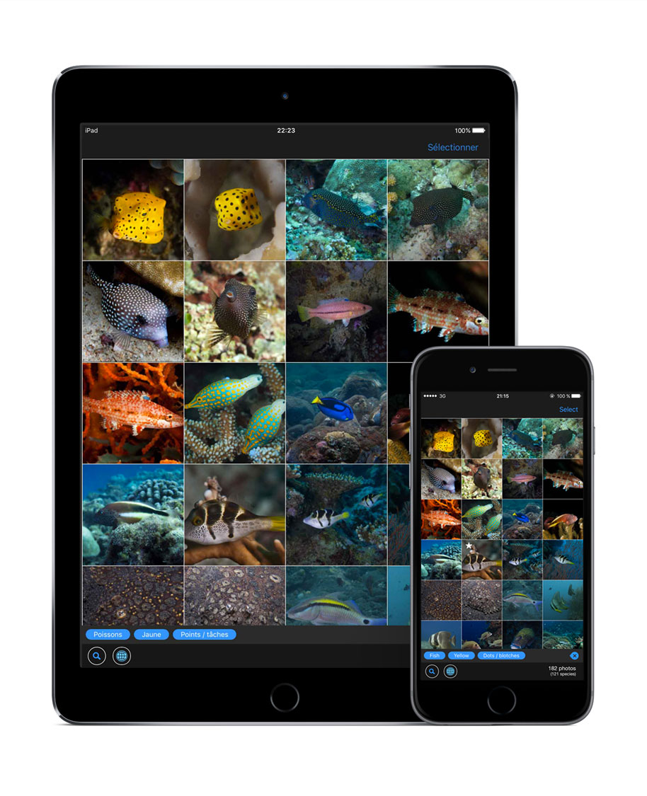 WhatFish, Marine Species Identification Guide