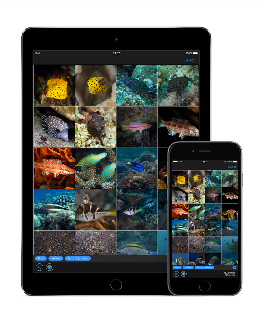 WhatFish, Marine Species Identification Guide